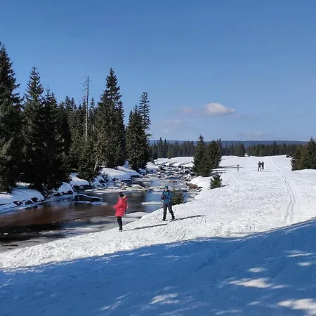 Enjoyharrachov: Sunny Studio with Mountain Views and Entertainment Exterior photo