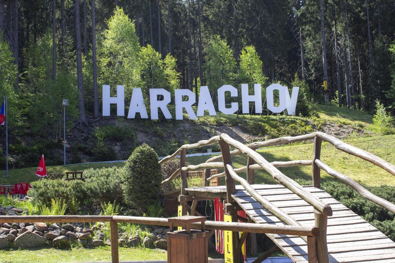 Enjoyharrachov: Sunny With Mountain Views And Entertainment